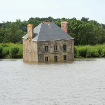 Rumbo al arte contemporáneo