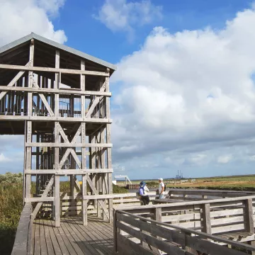 Un sorprendente recorrido por el estuario del Loira, donde el arte se une a la naturaleza 