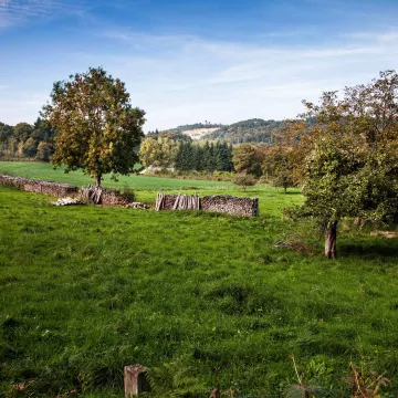Escapada mágica a los Alpes Mancelles