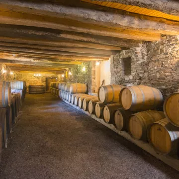 Caves ÉtonNantes: Experiencias insólitas en las bodegas de Nantes