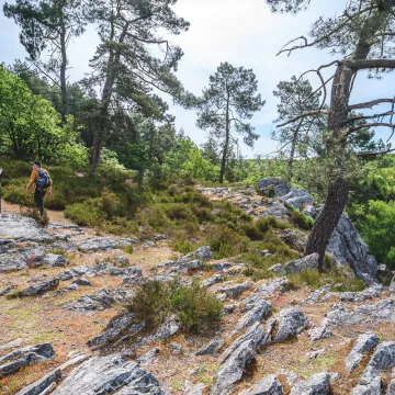Sillé-le-Guillaume, una escapada a la naturaleza en Pays de la Loire 