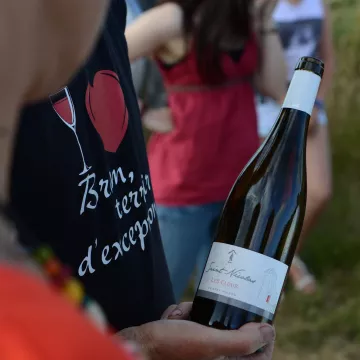 Thierry Michon: el viticultor estrella te abre las puertas de su bodega