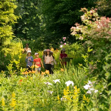 Una suave escapada en Mayenne, entre jardines secretos y pueblos olvidados