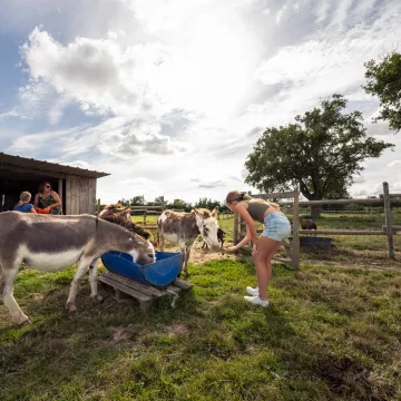Una estancia encantada en el corazón del sur de Mayenne: una auténtica experiencia gastronómica 