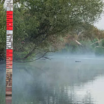 El Lago de Grand-Lieu, un paraíso para las aves
