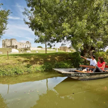 Explora la Venecia Verde