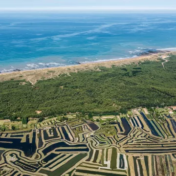 ¡Qué resaladas son las visitas a Guérande y Noirmoutier!
