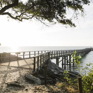 Una auténtica escapada gastronómica en Noirmoutier, entre la tierra y el mar 