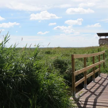 ¿Qué hacer en el parque natural regional de Brière? 