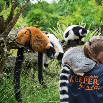 Sarthe: una cita con lo inesperado