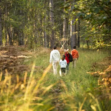 Un itinerario insólito por la historia y los productos locales del Perche Sarthois