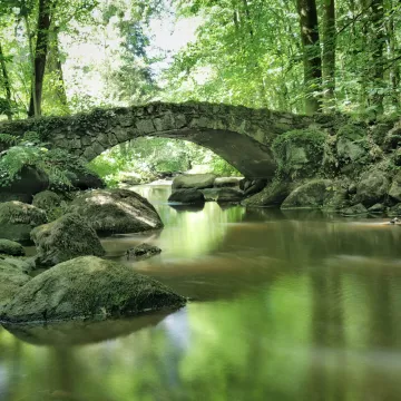 Pontmain, entre contemplación e inspiración 