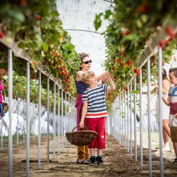 Destino Pornic: sucumba a sus productos locales