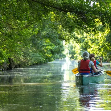 Una escapada a Vandea del Sur, a las puertas del Marais Poitevin 