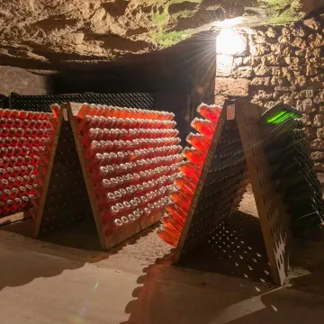 Visitas insólitas de bodegas de burbuja fina 