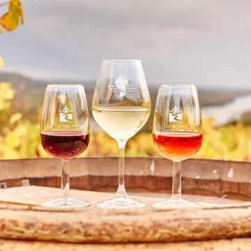 ¿Conoce los vinos de Pays de la Loire?