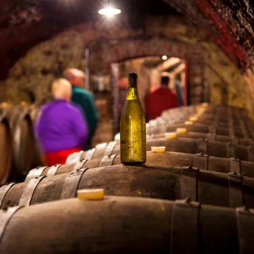 Explora el Valle del Loir para catar sus increíbles vinos blancos afrutados