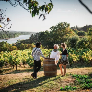 El Loira en verde, entre viñedos y patrimonio 