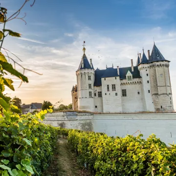 Escápese con una visita al castillo de Saumur