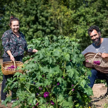 Etiquetas para el turismo rural y vitivinícola en los Países del Loira