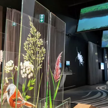 Dos lugares que visitar en Saint-Nazaire y sus alrededores.