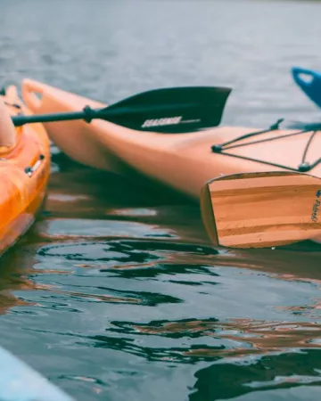 nadim-merrikh-lj36url5z-u-unsplash-44254