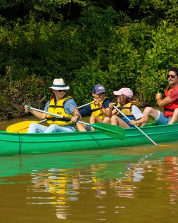 F LECHAT Photographe