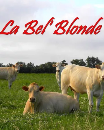 ©La-Bel-Blonde