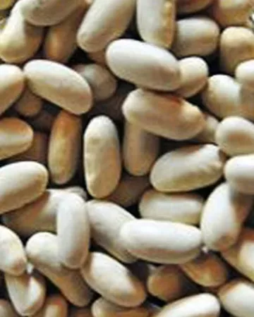 PATRICK OLIVIER EARL LA COMBE