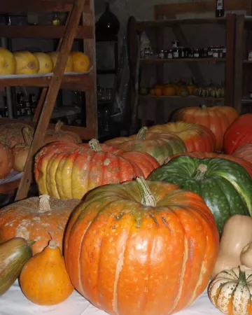 courges et confitures