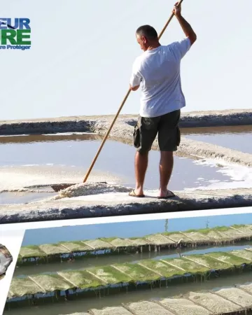 Centre Socio Culturel du Talmondais