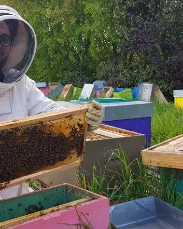 Couleur Abeille - Pierre Reichert