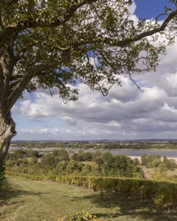 watier-visuel,Christian Watier