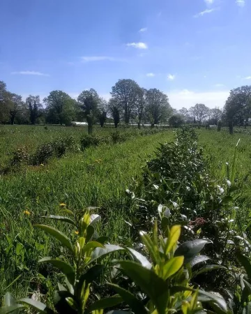 ©Ferme-les-Landes-vivantes-Treffieux