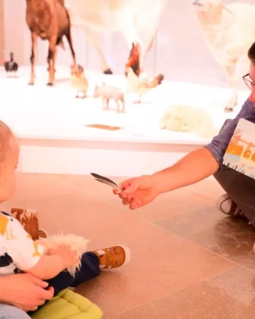 @ Ville du Mans - Gilles Moussé