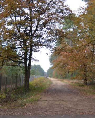 Communauté de communes de l'Orée de Bercé-Belinois