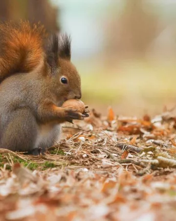 Wlodzimierz Jaworski - Unsplash