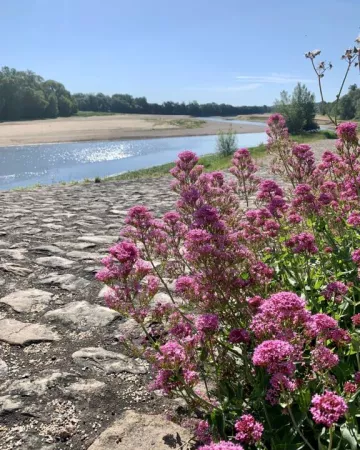 Aude Genevaise - SPL SVLT