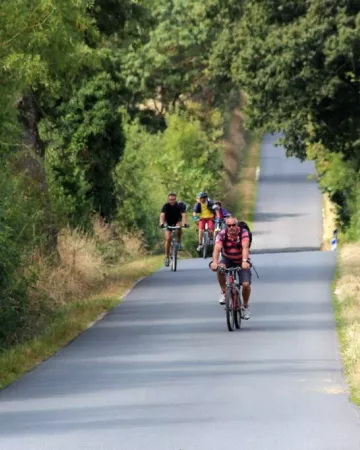 D.Benureau. groupe ccv.