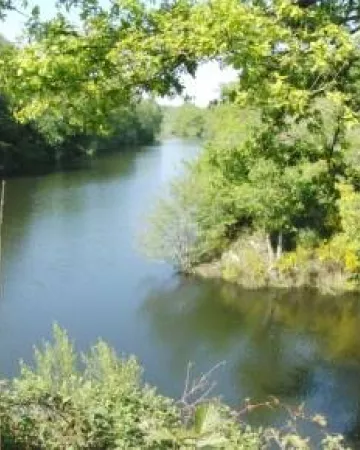 Département de Maine-et-Loire