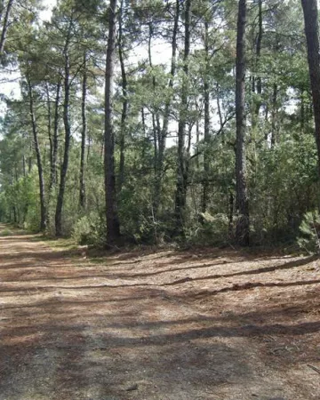 Communauté de communes du Loir