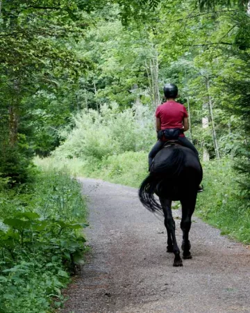 Beth Macdonald - Unsplash