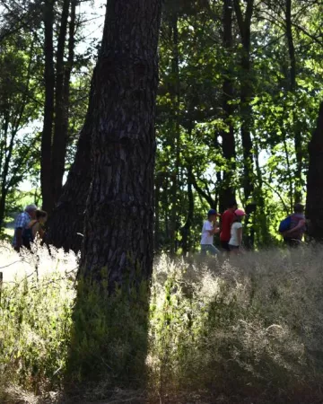 © Office de Tourisme