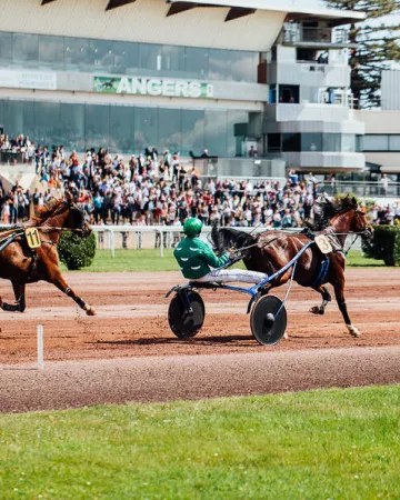 Hippodrome d'Angers