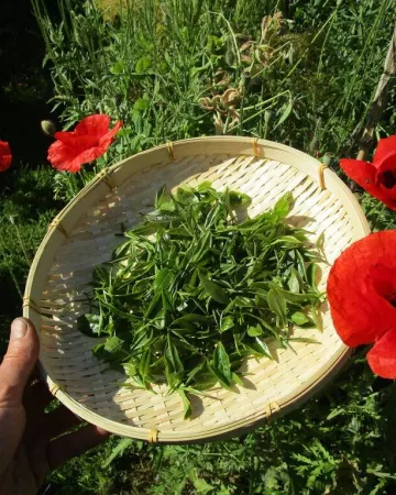 ©Ferme Les Landes Vivantes