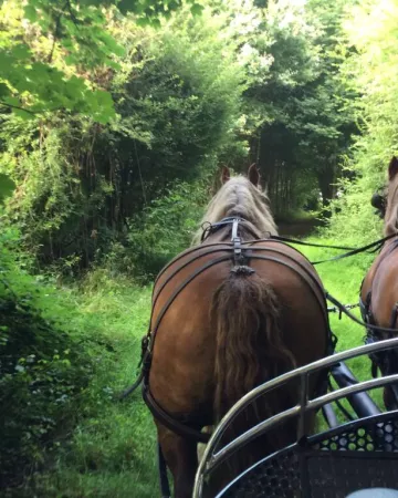 ©Office de Tourisme de l'Anjou bleu