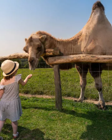 CP-Pascal_BELTRAMI_-_Mayenne_Tourisme-1920px(7)