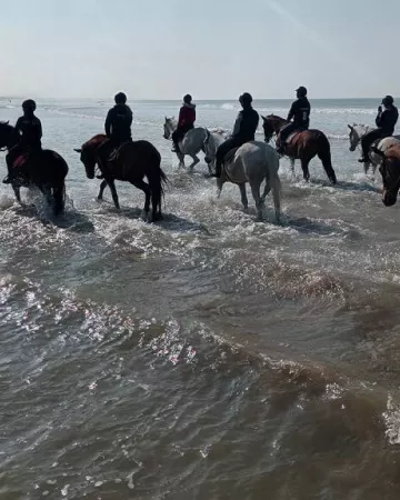 OT Pays de Saint Jean de Monts