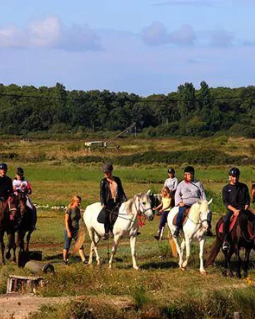 ECURIES BOIS DE LA TOUCHE