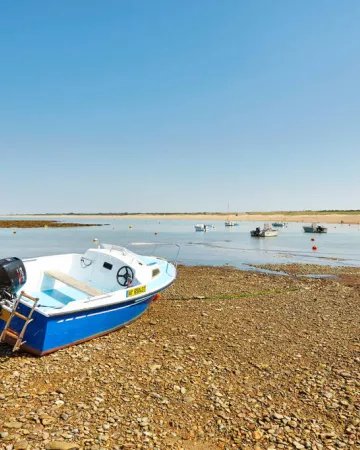 © Alexandre Lamoureux